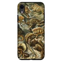 Haeckel Lacertilia: iPhone XR Tough Case