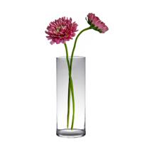 Hakbijl glass bloemenvaas - Transparant - glas - 19 x 60 cm - Cilinder vormig - thumbnail