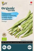 Organic Pronkboon Emergo (BIO) - Buzzy