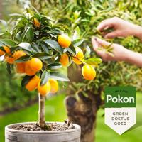 Bio Mediterrane Planten Voeding 500ml - Pokon