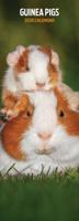 Cavia Kalender 2026 Slimline