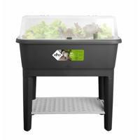 Kas Elho Zwart Plastic 78,5 cm