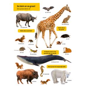Deltas Mijn eerste grote dierenkijkboek