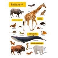 Deltas Mijn eerste grote dierenkijkboek