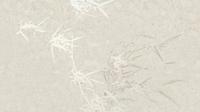 Muance Muance Fotobehang Harmony hues - MU15004