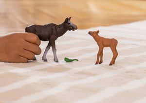 Schleich WILDLIFE Eland met Kalf 42603