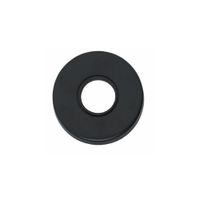 Intersteel Rozet verdekt 49x7mm - mat zwart