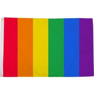 Regenboog LGBT vlag 90 x 150 cm verticale strepen