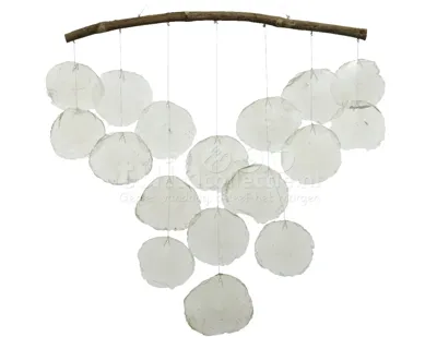 Schelpenhanger Capiz Drijfhout 56cm Wit