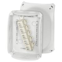 Hensel DK 1010 G Aftakkast (l x b x h) 77 x 180 x 130 mm Grijs-wit (RAL 7035) IP66 (frontplaten afdichting) 1 stuk(s)
