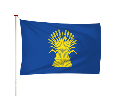 Vlag Reusel
