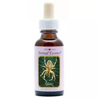 Animal Essences Spider (spin) 30 Milliliter