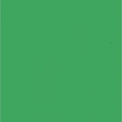 Falcon Eyes Achtergrondpapier 46 Chroma Green 2,75 x 11 m