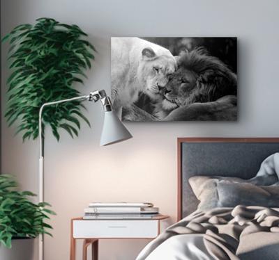 Andere dieren schilderij op canvas Zwart-wit leeuwenpaar