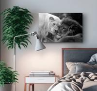 Andere dieren schilderij op canvas Zwart-wit leeuwenpaar