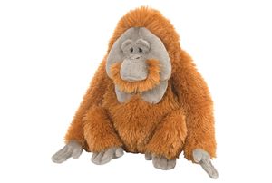 Pluche Orang Oetan 30 cm   -