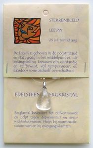 Sterrenbeeldsteen hanger leeuw