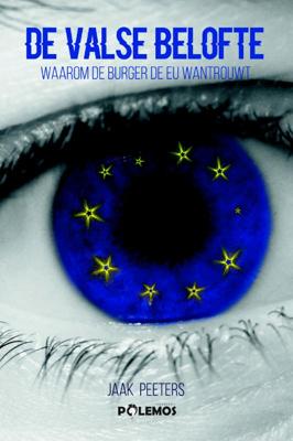 De valse belofte (Paperback)