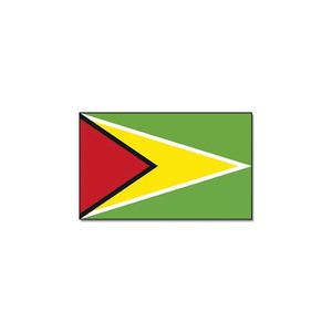 Vlag Guyana 90 x 150 feestartikelen