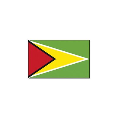 Vlag Guyana 90 x 150 feestartikelen