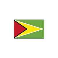 Vlag Guyana 90 x 150 feestartikelen - thumbnail