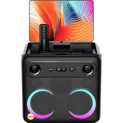 Ikarao Break X2 Karaokesysteem Touchscreen, Incl. microfoon