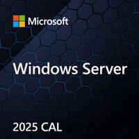 Microsoft Windows Server CAL 2022 Client Access License (CAL) 1 licentie(s)