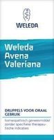 Avena valeriana