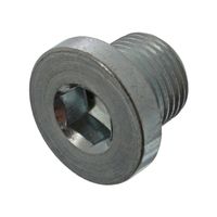 Afsluitschroef oliepan 45617 Afsluitschroef oliepan 45617