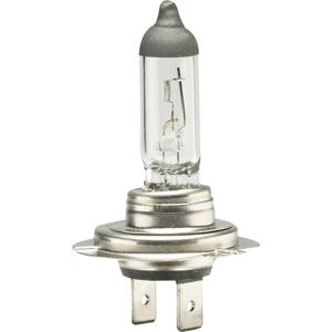 IWH 019355 Halogeenlamp H7 55 W 12 V