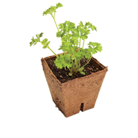 Jiffy Jiffy Vezel Pot 10 Stuks - 8 x 8 x 8cm