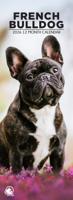 Franse Bulldog Slimline Kalender 2026