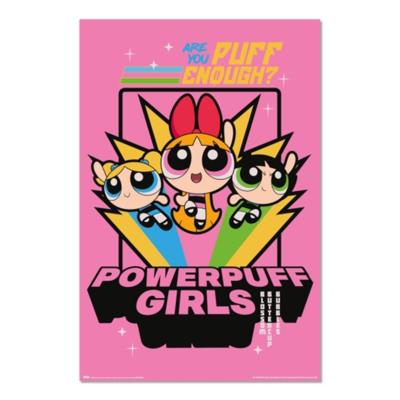 Poster Powerpuff Girls 61x91,5cm