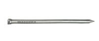 Connex Nagel Ronde Kop 2.5X55 180G Vz - KY1062555