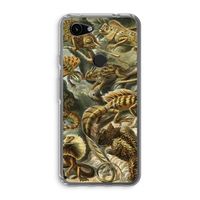 Haeckel Lacertilia: Google Pixel 3a Transparant Hoesje