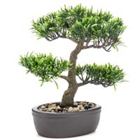 Emerald Kunstplant Bonsai boompje - groen - in pot - 32 cm Emerald Kunstplant Bonsai boompje - groen - in pot - 32 cm