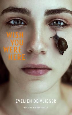 Wish you were here - Evelien de Vlieger - ebook