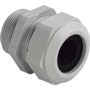 1571.21.205  - Cable gland / core connector PG21 1571.21.205
