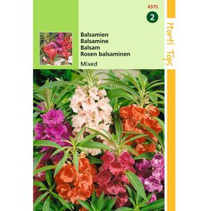 Hortitops - 2 stuks Impatiens Balsamina Balsamine Dubbelbl. Gemengd