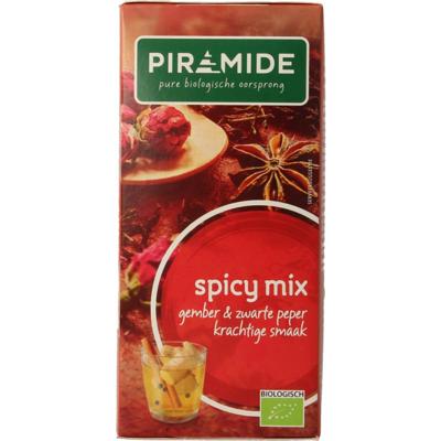Piramide Spicy thee eko bio