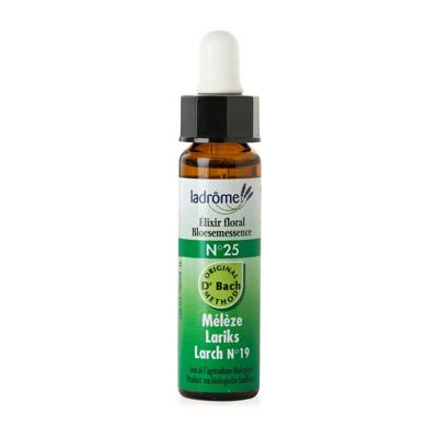 Ladrome Larch/lariks 25 bio
