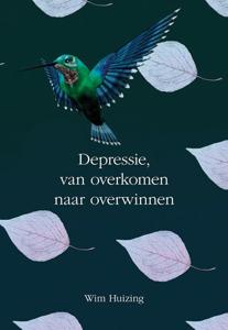 Depressie, van overkomen naar overwinnen (Paperback)