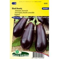 Aubergine zaden - Black Beauty - thumbnail