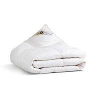 Dekbed 100% Eendenveren All Season - Enkel , All season - 240x200 cm (Lits-Jumeaux) - Presence - 400 gram - Dekbed-Discounter.nl