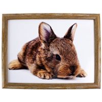 Laptray/schoottafel konijn print 43 x 33 cm   -