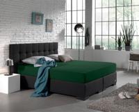 Dreamhouse Enkel Jersey 135 gr. Hoeslaken Botanisch Groen 160/180 x 200