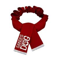 PLENTY GIFTS KERST SJAAL SANTA'S FAVORITE DOG ROOD