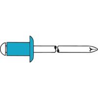 Gesipa 1433621 Popnagel (Ø x l) 3 mm x 6 mm RVS RVS 500 stuk(s)