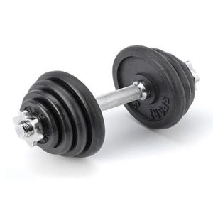 Verstelbare dumbbell - Focus Fitness - 1 x 15 kg - Gietijzer