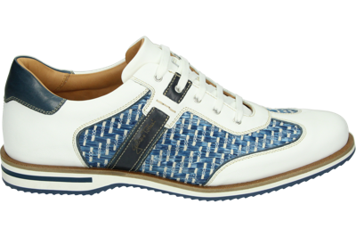 Galizio Torresi 310530 - alle